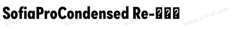 SofiaProCondensed Re字体转换 SofiaProCondensed Re字体转换